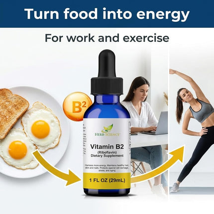 Herb-Science Liquid Vitamin B2 Riboflavin Drops, Alcohol-Free Liquid Extract Support Digestion, Maintain Proper Energy Levels, Boost Collagen Production for Healthy Hair, Nails, Skin, (1 oz)