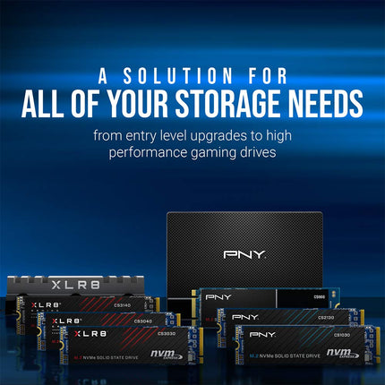 PNY CS900 250GB Internal SSD SATA III 2.5"