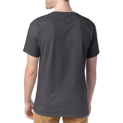 Hanes Men's Short Sleeve Comfort Soft T-Shirt, Smoke Grey, Large (Pack of 4)