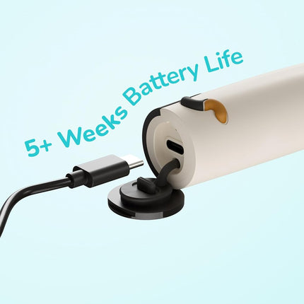 Ordo Squishmallows Electric Toothbrush, Sonic, Rechargeable, 3 Modes, 5+ Weeks Battery, Extra Head, Kids 4+, Cam