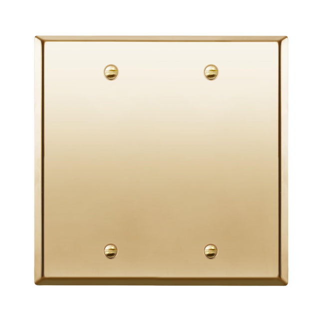 ENERLITES Blank Device Metal Wall Plate, Stainless