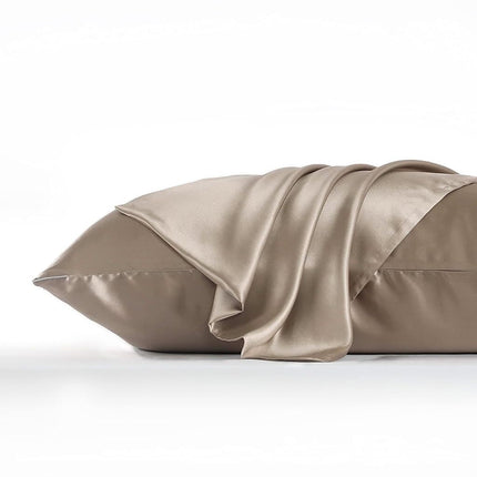 DISANGNI 100% Natural Mulberry Silk Pillow case for Hair and Skin with Hidden Zipper 22 Momme Both Sides Real Silk Pillow Case (1pc Standard Size 20" x26", Taupe)
