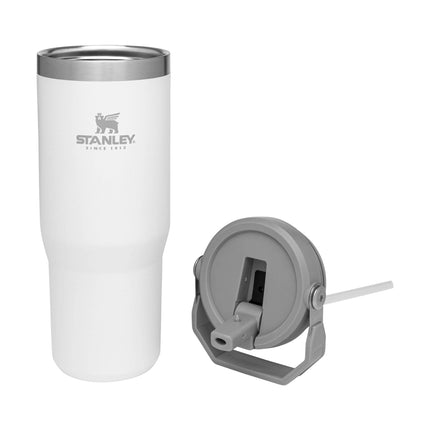 STANLEY IceFlow Stainless Steel Tumbler with Straw - Vacuum Insulated Water Bottle for Home, Office or Car - Reusable Cup with Straw Leak Resistant Flip - Cold for 12 Hours or Iced for 2 Days (Polar)
