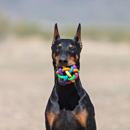 Multi Pet Nobbly Wobbly Dog Rubber Ball-Medium