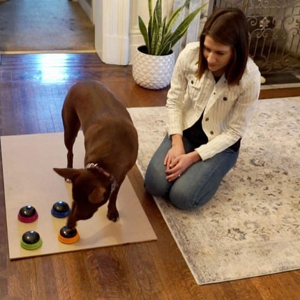 Hunger for Words Talking Pet Starter Set, Recordable Buttons for Dogs, Talking Dog Buttons, Teach Your Dog to Talk