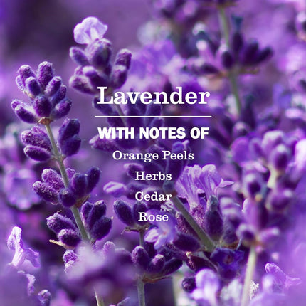Hojas para secadora Clean Day de Mrs. Meyer's, lavanda, 80 unidades