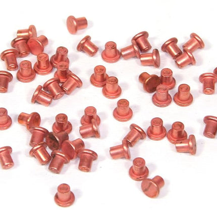 Motor Guard J20012 Magna Trim Rivets, 500-Pack
