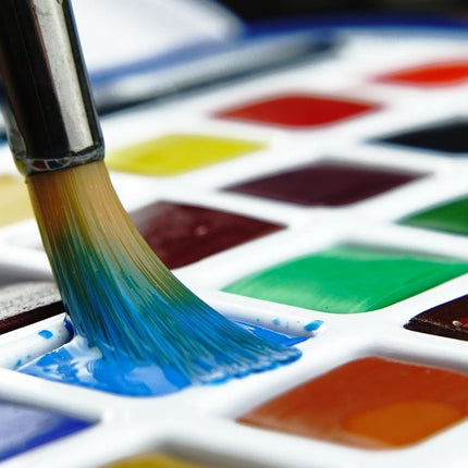Daler Rowney Aquafine Watercolour 48 Half Pans Set + 1 Watercolour Brush