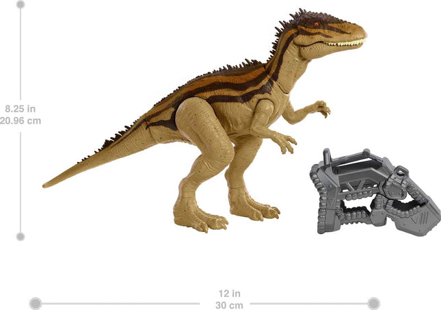 Jurassic World Mega Destroyers Carcharodontosaurus Figurine Dinosaure Carnivore Articulations Mobiles, Sculpture Réaliste et Fonction d'Attaque Avancée, Fonction Évasion, Carnivore 4 Ans et Plus