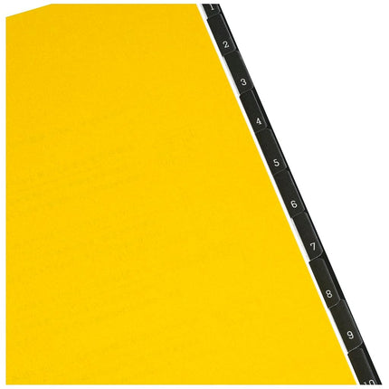 Maruman MNEMOSYNE Monthly Diary 2025, Monthly Planner with Tabs, 8.27 x 5.83 Inches (A5), 1 ea (MND283-25)