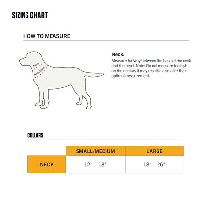 Carhartt Unisex's Dog Collar, Hunter Orange, Medium