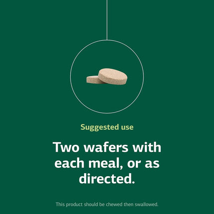 Zymex 100 Wafers de Standard Process