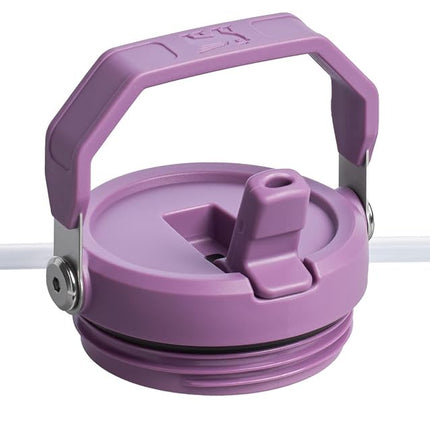 Vaso Stanley IceFlow de acero inoxidable - Botella de agua con aislamiento al vacío para casa, oficina o coche Vaso reutilizable con pajita Tapa abatible a prueba de fugas Mantiene el frío durante 12 horas o congelado durante 2 días, Lila, 20OZ