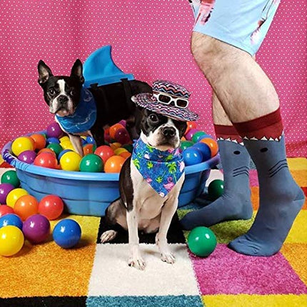 K. Bell Socks mensLeg Eating Animal Novelty Crew Socks Casual Sock - Blue -