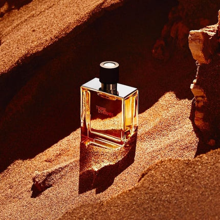 Hermes Terre D’Hermes Pure Eau de Parfum Spray for Men 75 ml