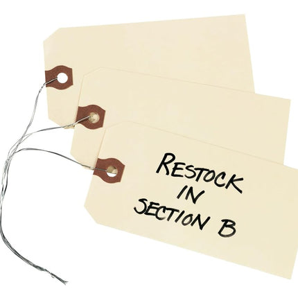 Avery Shipping Tags with Wire, 11.5 pt. Stock, 6-1/4" x 3-1/8", 1,000 Manila Hang Tags (12608)