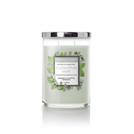 Colonial Candle Eucalyptus Mint Scented Jar Candle