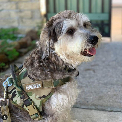 EXCELLENT ELITE SPANKER Nylon Military Patrol Dog Vest Harness Adjustable