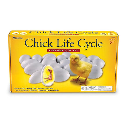 Learning Resources Chick Life Cycle Exploration Set (LER2733)