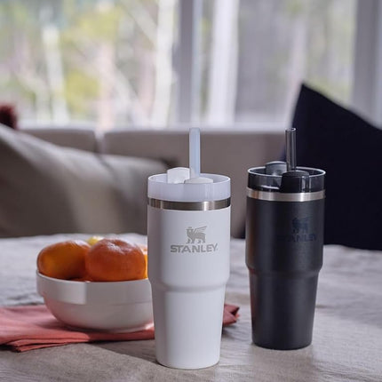 STANLEY Quencher H2.0 FlowState Stainless Steel Vacuum Insulated Tumbler with Lid and Straw for Water, Iced Tea or Coffee, Smoothie and More, Stone, 14oz