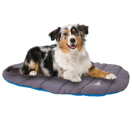 Chuckit Travel Bed