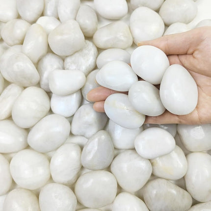 FANTIAN Natural Polished White Pebbles - Smooth Sm