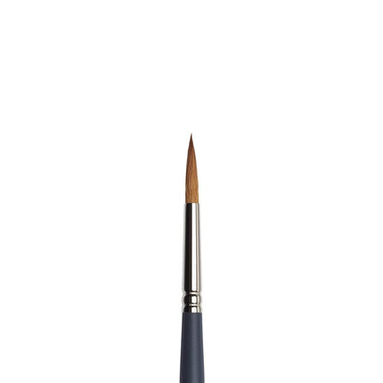 Winsor & Newton Professional Watercolour Brush, Gray, Rundpinsel-Nr. 8 5011108