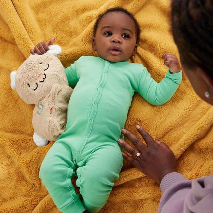 Fisher-Price Soothe & Settle Bunny Baby Toy