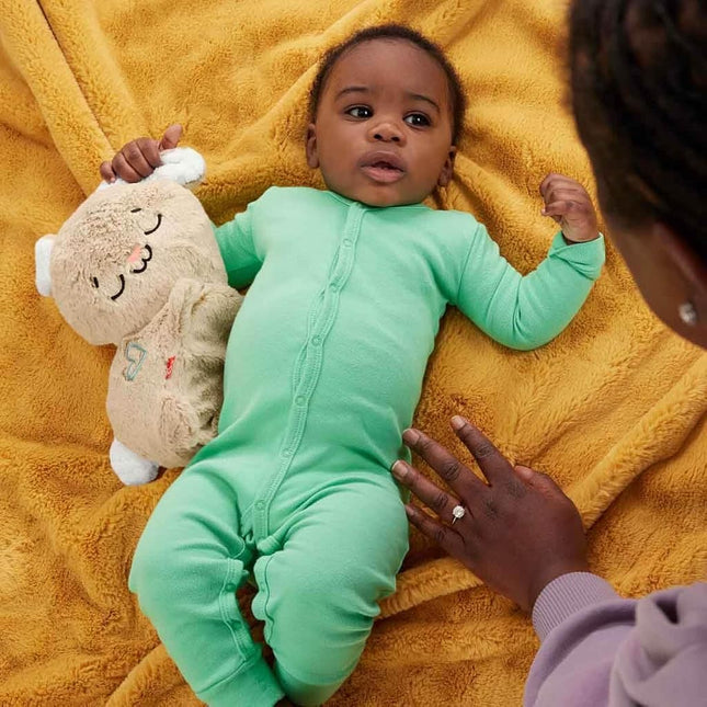 Fisher-Price Soothe & Settle Bunny Baby Toy