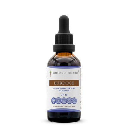 Burdock Tincture Alcohol-Free Liquid Extract, Orga