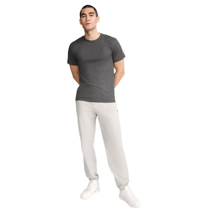 Champion Men's Classic Everyday Soft, Comfortable T-Shirt (Regular or Big & Tall), Granite Heather - C Logo, 3XL Big