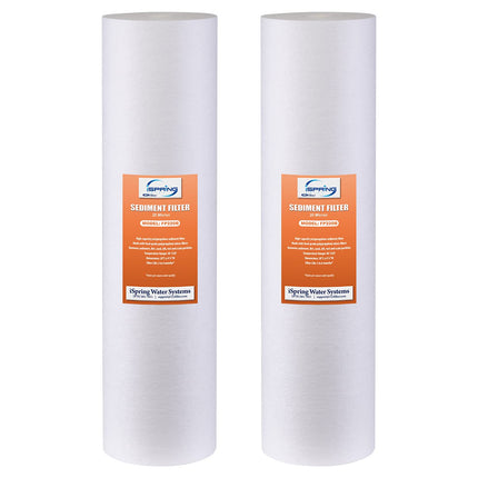 iSpring FP220BX2 20 Micron 20-Inch Big Blue Whole 