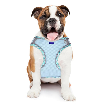 BTDCFY Step in Mesh Dog Harness and Leash Set Breathable Air Mesh Harness
