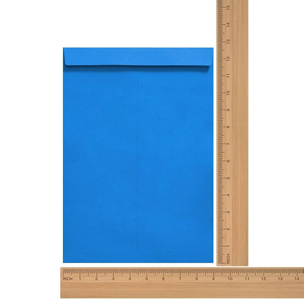 Tanshuqin 9" x 12.75" Dark Blue Self-Seal Catalog Envelopes