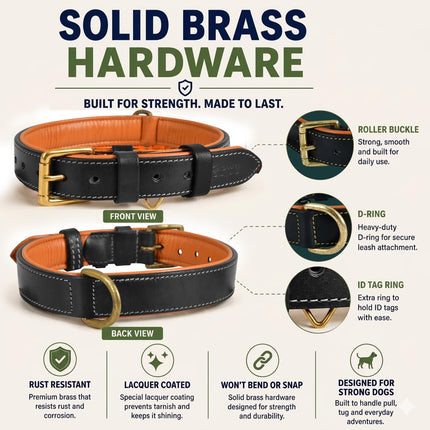 DowgClub Leather Dog Collar | Leather Collar for Small Dogs, .75 Inch Wide Black Dog Collar | Genuine, Full Grain, Heavy Duty, Comfortable, Inner Soft Padding (S (Neck Size 11.5"-14.5"), Black)