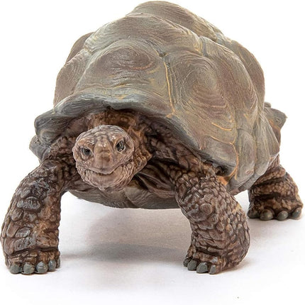 Schleich Wild Life - Giant Tortoise Toy Figurine - Kids Ages 3+ | 14824