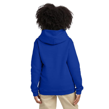 Hanes Little Boys' Eco Smart Fleece Pullover Hood, Deep Royal, x Small