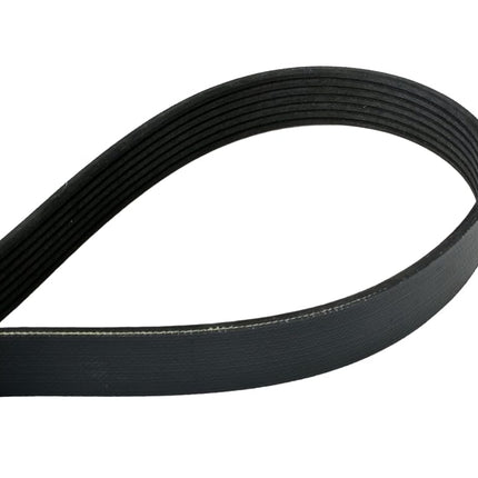 Courroie striée Continental OE Technology Series 4070834 à 7 nervures, 83,4 po