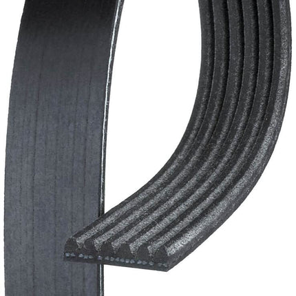 Continental OE Technology Series 4040560 4-Rib, 56