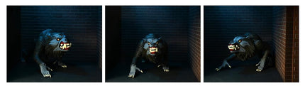 MERCHANDISING LICENCE NECA - American Werewolf In London Toony Terrors 6 Action Figure 2Pk, NEC0NC04898