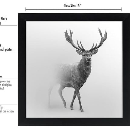 Americanflat 16x16 Poster Frame in Black with Polished Plexiglass - Horizontal and Vertical Formats with Included Hanging Hardware