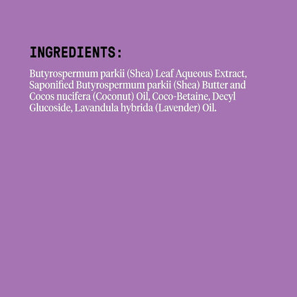 Alaffia Everyday Hair Care Shea Shampoo Lavender, 32 Ounce