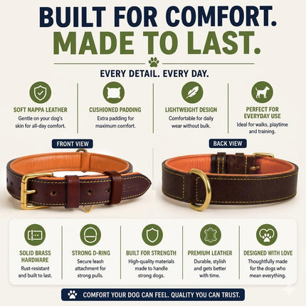 Genuine Leather Dog Collar | Brown | Full Grain, Heavy Duty, Strong, Comfortable, Padded | Best for Pups, Small, Medium, Large, XL Dog Breeds (XL (Neck Size 22.5"-25.5"), Brown)