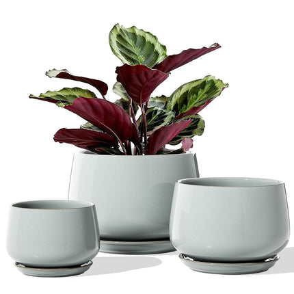 LE TAUCI Ceramic Plant Pot, 10+13+16 cm, Indoor Pl