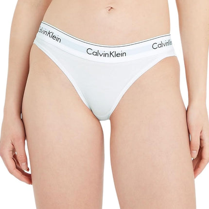 Calvin Klein Women's Modern Cotton Stretch Bikini Panty Underwear, White, L