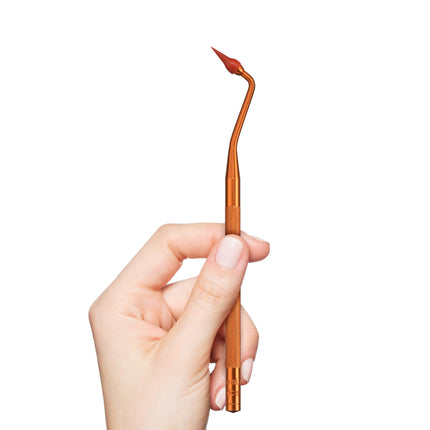 Gum Stimulateur Gingival