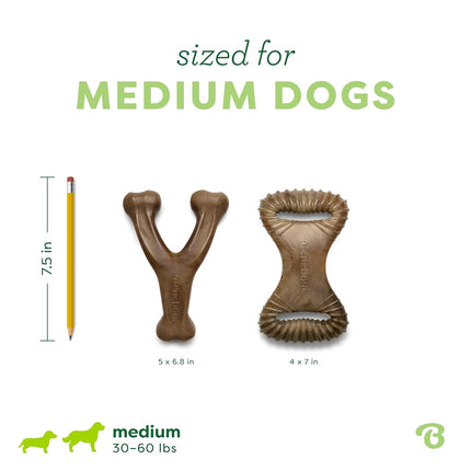 Benebone 2-Pack Wishbone/Dental Durable Dog Chew Toys, Real Bacon, Medium
