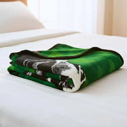 Franco Collectibles The Legend of Zelda Retro Video Game Bedding Super Soft Micro Raschel Throw, 46 in x 60 in, (Official Licensed Product)