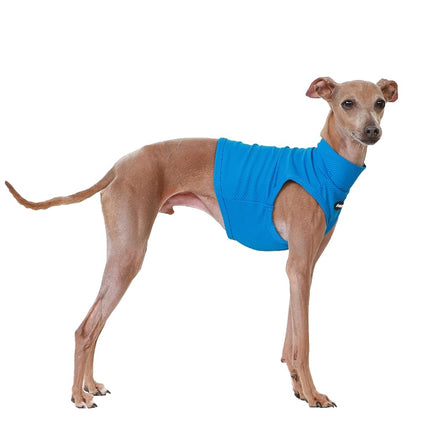 D Doggy Star Italian Greyhound Clothes Summer Cool