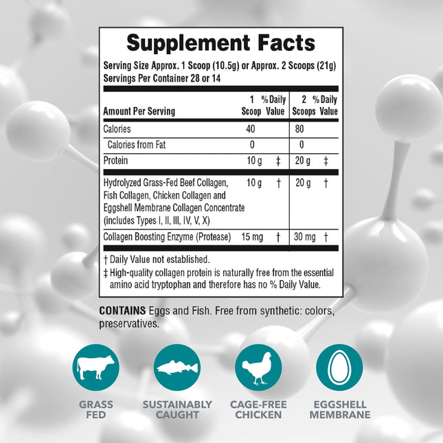 NaturesPlus Collagen Peptides - 0.65 lbs Powder, Pack of 2 - Hair, Skin, Nail & Joint Health, Immune System Support - Non-GMO, Gluten Free - Up to 56 Total Servings